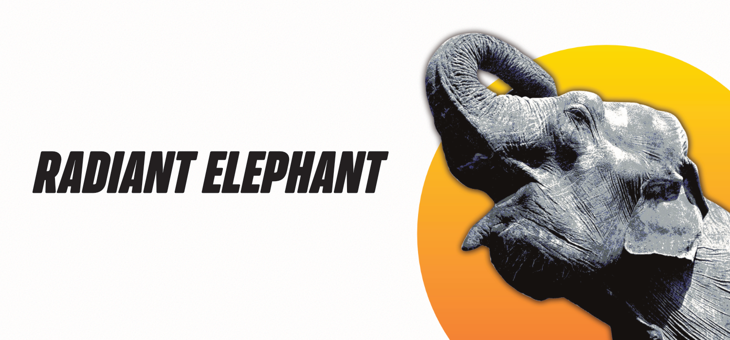 Radiant Elephant Banner 2