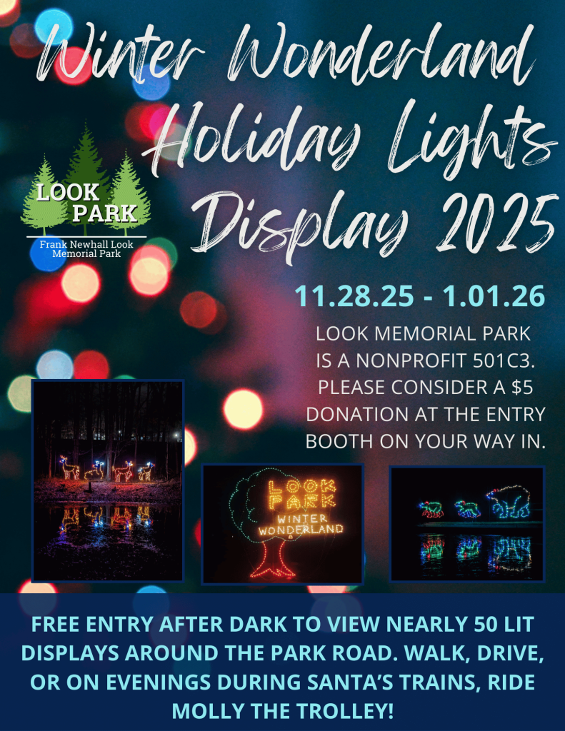 Winter Wonderland 2025 Flyer 1 791x1024