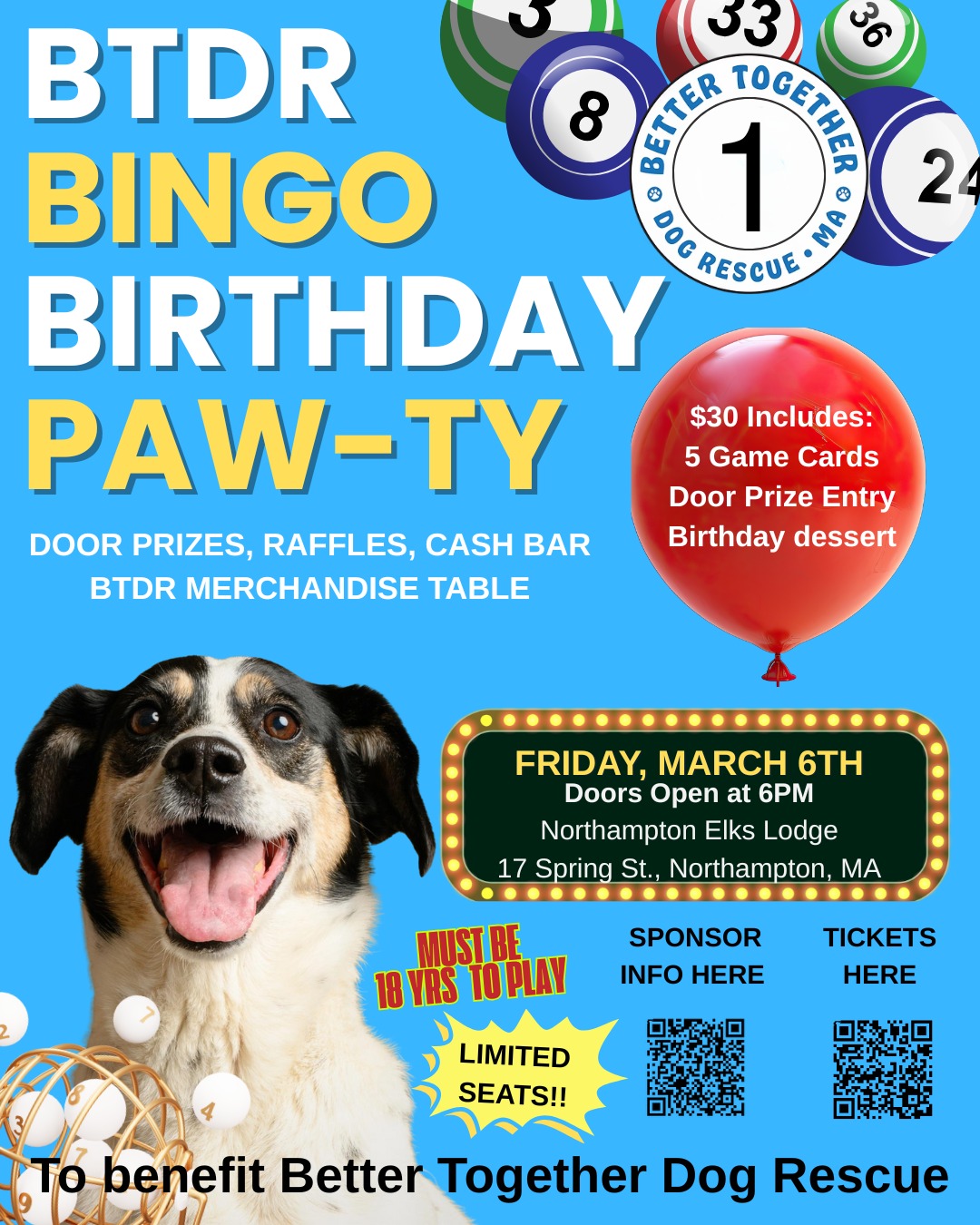 BTDR%20B Day%20Bingo%20Paw Ty%20Flyer