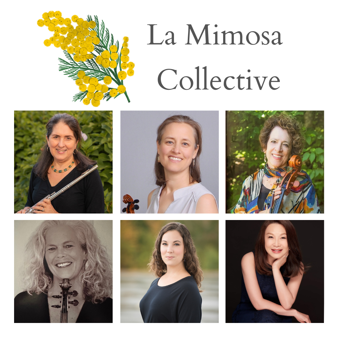 Mimosa%20collective  2