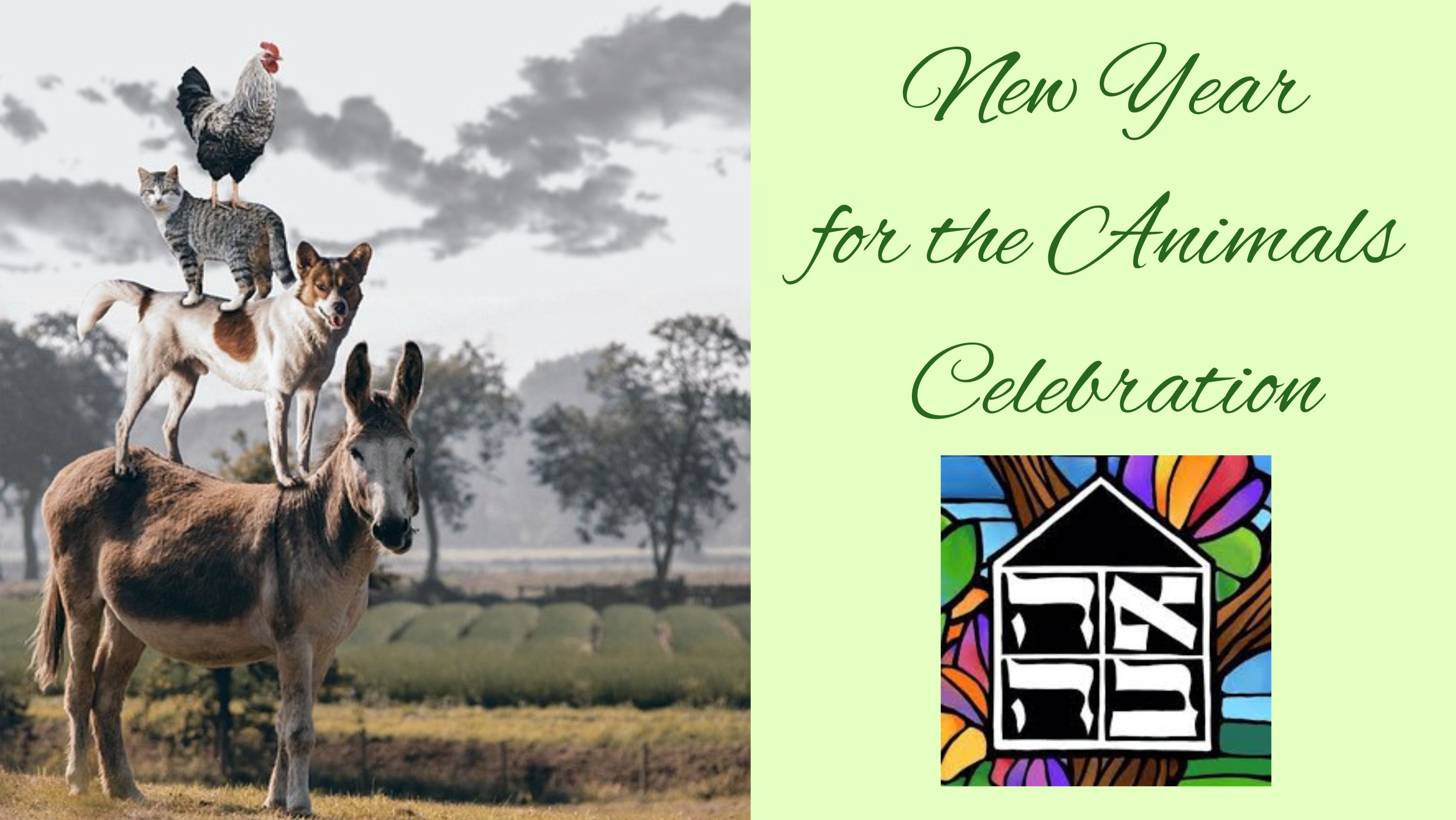 New Year For The Animals Celebration New Year For The Animals Celebration