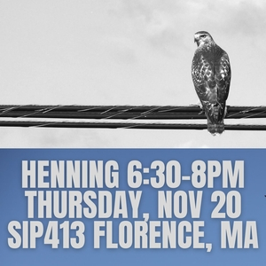 Gj0xgARMDUudclYvZ8uSTg.large