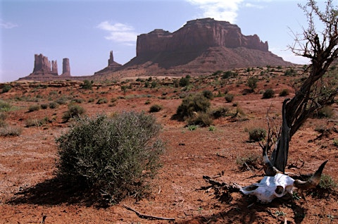 7ycP3eBJykOtGZn4Ei6ZiA.large